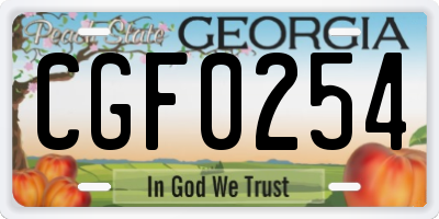 GA license plate CGF0254
