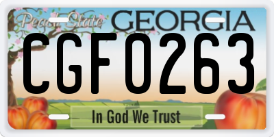 GA license plate CGF0263
