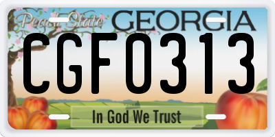 GA license plate CGF0313