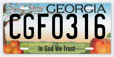 GA license plate CGF0316