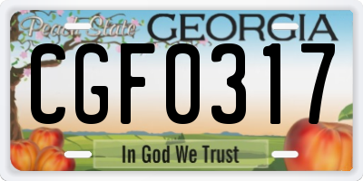 GA license plate CGF0317