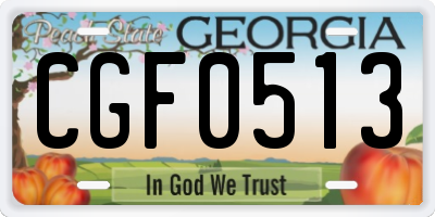 GA license plate CGF0513