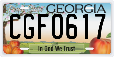 GA license plate CGF0617