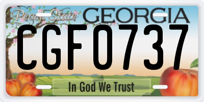 GA license plate CGF0737