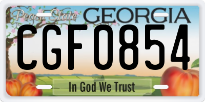 GA license plate CGF0854