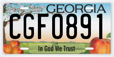 GA license plate CGF0891