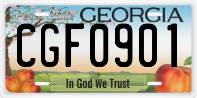 GA license plate CGF0901