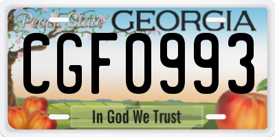GA license plate CGF0993