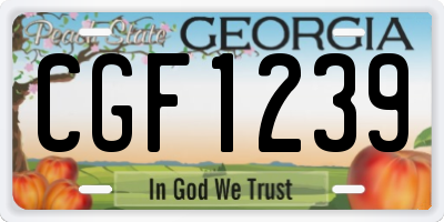 GA license plate CGF1239