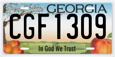 GA license plate CGF1309