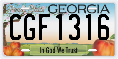 GA license plate CGF1316