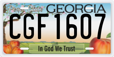 GA license plate CGF1607