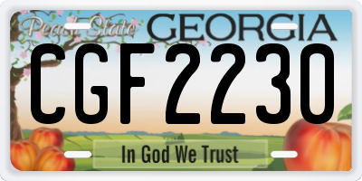 GA license plate CGF2230