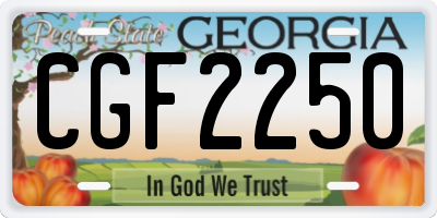 GA license plate CGF2250