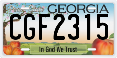 GA license plate CGF2315