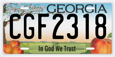 GA license plate CGF2318