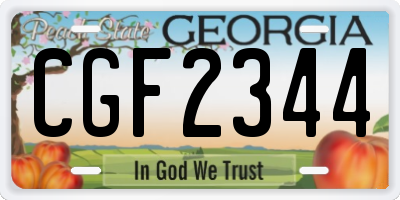 GA license plate CGF2344