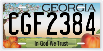 GA license plate CGF2384