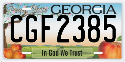 GA license plate CGF2385