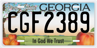 GA license plate CGF2389