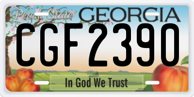 GA license plate CGF2390