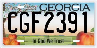 GA license plate CGF2391