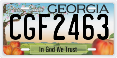 GA license plate CGF2463
