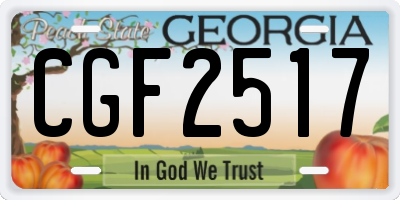 GA license plate CGF2517