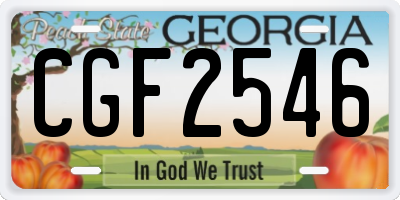 GA license plate CGF2546