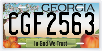 GA license plate CGF2563