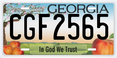 GA license plate CGF2565