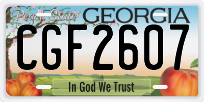GA license plate CGF2607