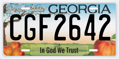 GA license plate CGF2642