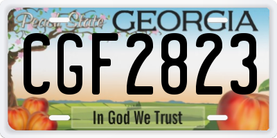 GA license plate CGF2823