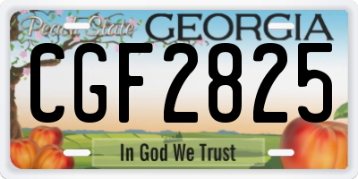 GA license plate CGF2825