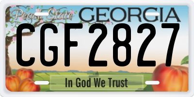 GA license plate CGF2827