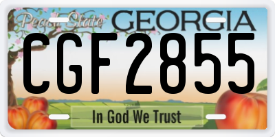GA license plate CGF2855