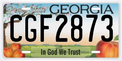 GA license plate CGF2873