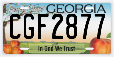 GA license plate CGF2877