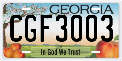 GA license plate CGF3003