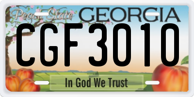 GA license plate CGF3010