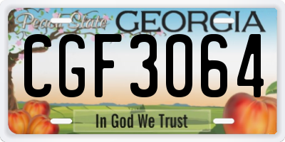 GA license plate CGF3064