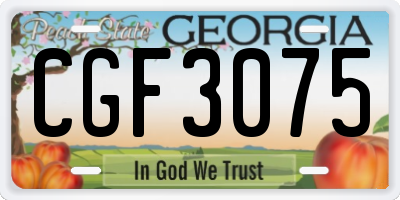 GA license plate CGF3075