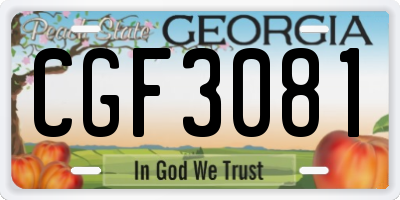 GA license plate CGF3081