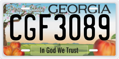 GA license plate CGF3089