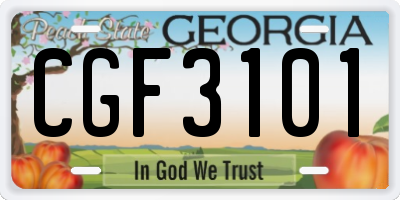 GA license plate CGF3101