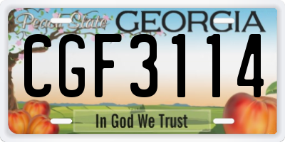 GA license plate CGF3114