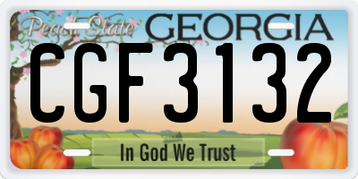GA license plate CGF3132