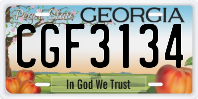 GA license plate CGF3134