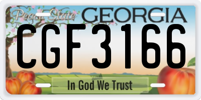 GA license plate CGF3166